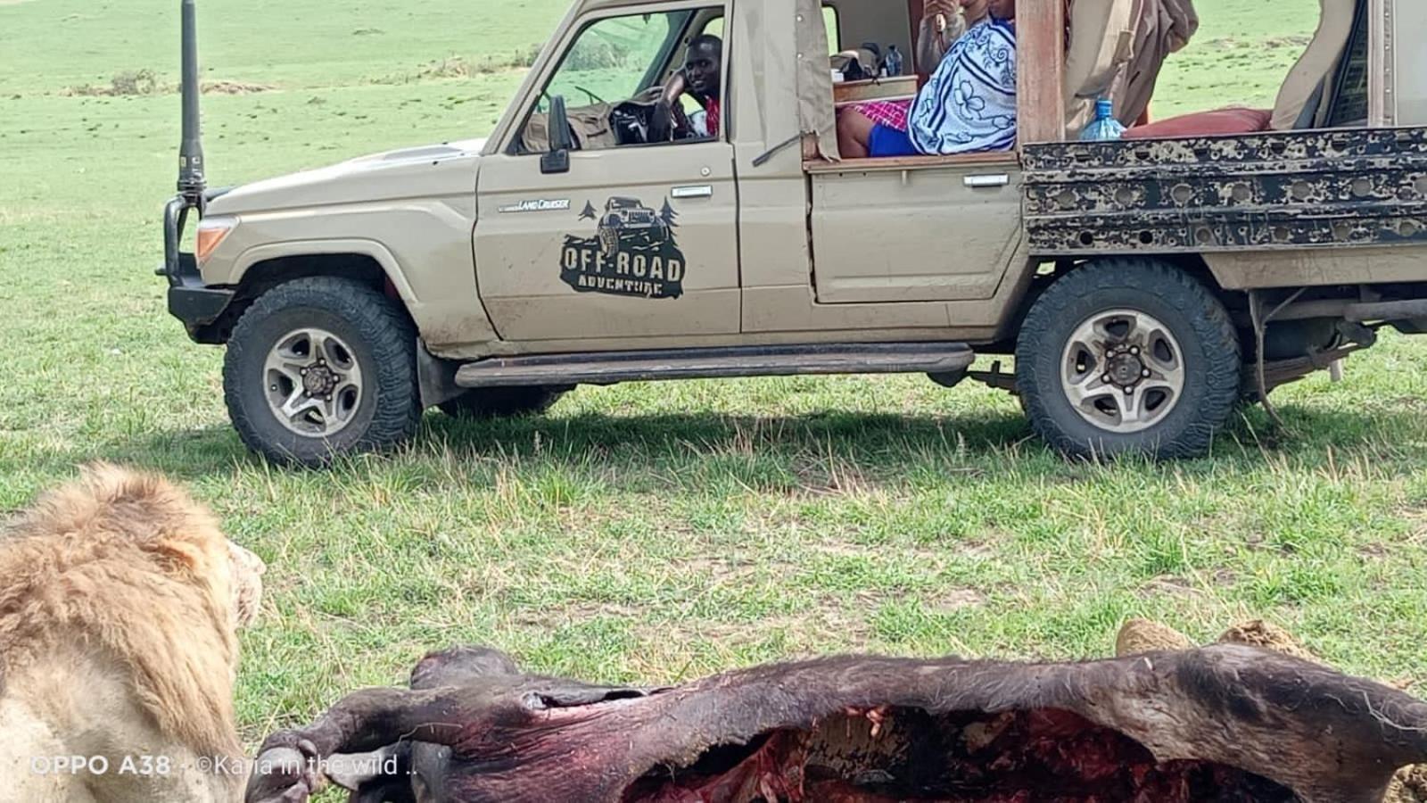 Maasai Homestay Camping Sekenani Exteriör bild
