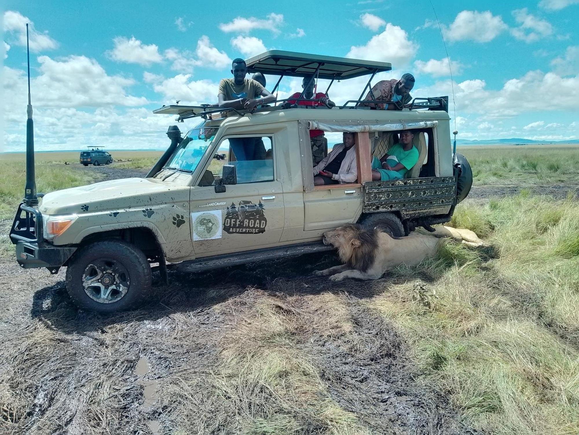 Maasai Homestay Camping Sekenani Exteriör bild